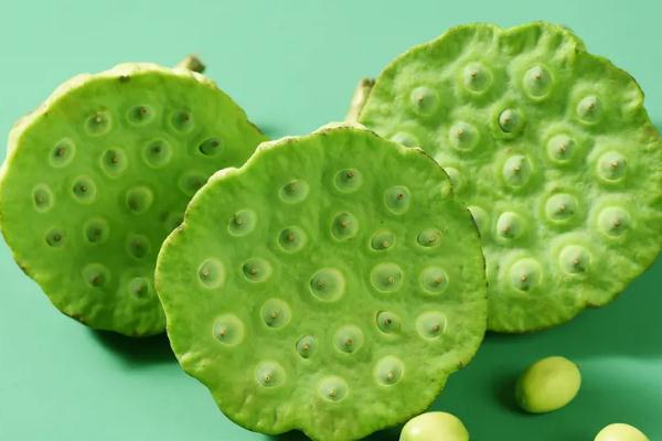 蓮蓬和荷花的關(guān)系 蓮蓬是荷花的什么部分 蓮蓬和荷花的關(guān)系 蓮蓬是荷花的什么部分