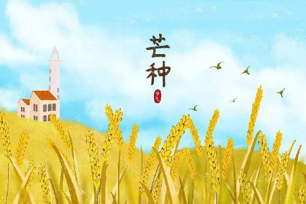 芒種的寓意和象征 芒種有什么特點 芒種的寓意和象征 芒種有什么特點