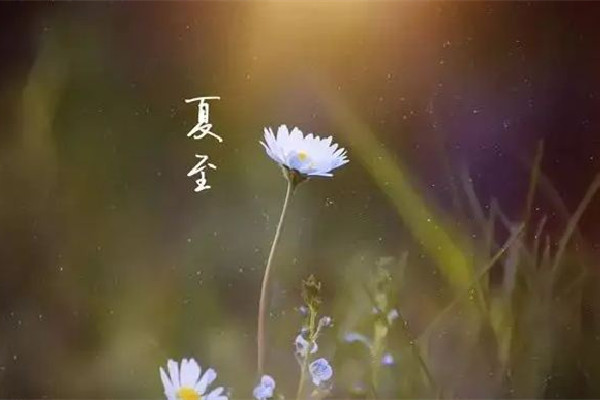 夏至是白天最長(zhǎng)的一天嗎 夏至?xí)霈F(xiàn)什么現(xiàn)象