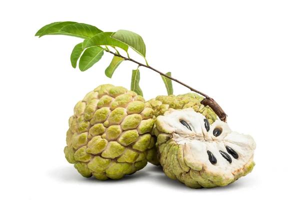 番荔枝孕婦可以吃嗎 番荔枝是哪里的特產(chǎn) 番荔枝孕婦可以吃嗎 番荔枝是哪里的特產(chǎn)