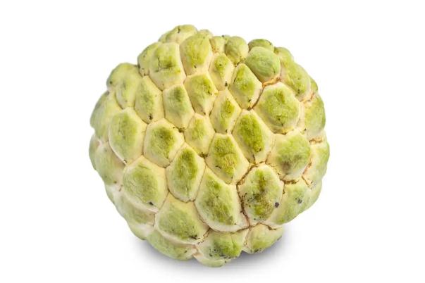 番荔枝有毒嗎 番荔枝會(huì)過(guò)敏嗎