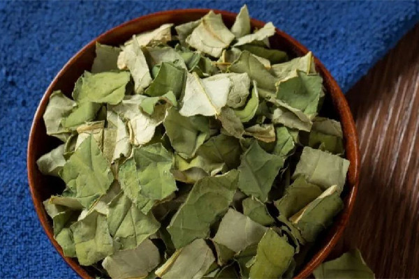 干荷葉和新鮮荷葉哪個效果好 干荷葉多少錢一斤 干荷葉和新鮮荷葉哪個效果好 干荷葉多少錢一斤