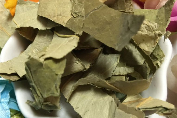 干荷葉和新鮮荷葉哪個效果好 干荷葉多少錢一斤 干荷葉和新鮮荷葉哪個效果好 干荷葉多少錢一斤