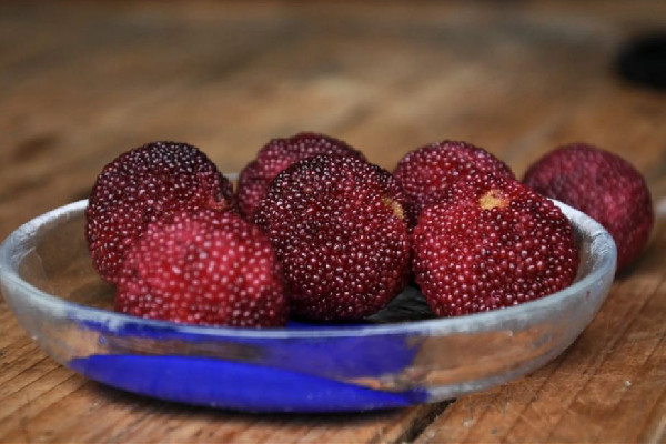 楊梅有酒味了還能吃嗎 楊梅什么樣子不能吃了 楊梅有酒味了還能吃嗎 楊梅什么樣子不能吃了