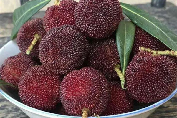 楊梅酒可以存放多久 楊梅酒放冰箱還是常溫