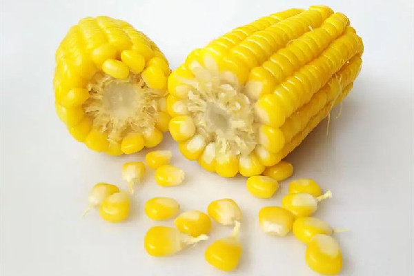 甜玉米可以多吃嗎 甜玉米吃多了有什么危害 甜玉米可以多吃嗎 甜玉米吃多了有什么危害