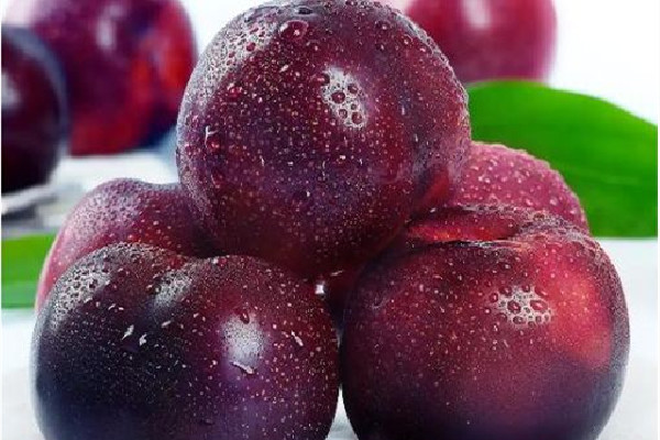 黑布林的營養(yǎng)價(jià)值和功效 黑布林可以促進(jìn)排便嗎