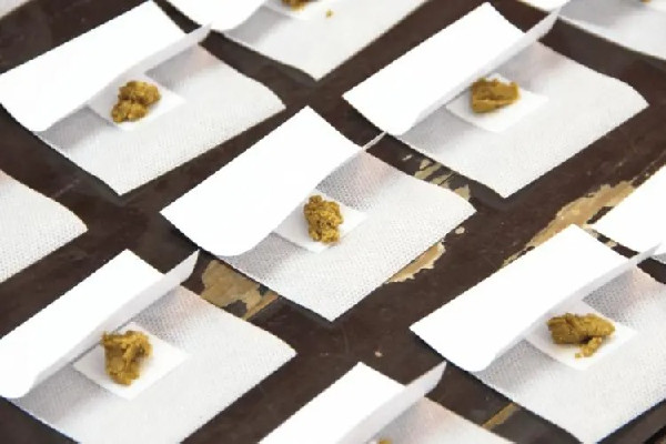 三伏貼要連續(xù)貼幾天 三伏貼可以重復(fù)貼嗎 三伏貼要連續(xù)貼幾天 三伏貼可以重復(fù)貼嗎