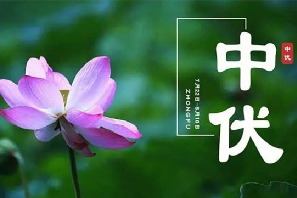 中伏可以吃羊肉嗎 中伏吃什么傳統(tǒng)食物 中伏可以吃羊肉嗎 中伏吃什么傳統(tǒng)食物