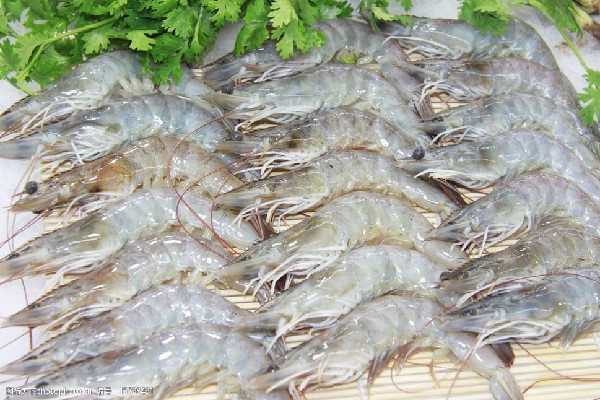 基圍蝦可以隔夜吃嗎 基圍蝦吃多了對身體有害嗎 基圍蝦可以隔夜吃嗎 基圍蝦吃多了對身體有害嗎