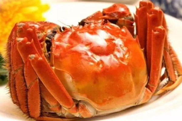 大閘蟹多少錢一斤市場價2022 大閘蟹哪里的最正宗 大閘蟹多少錢一斤市場價2022 大閘蟹哪里的最正宗