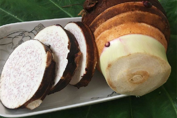 荔浦芋頭買大的好還是小的好 荔浦芋頭怎么挑竅門 荔浦芋頭買大的好還是小的好 荔浦芋頭怎么挑竅門