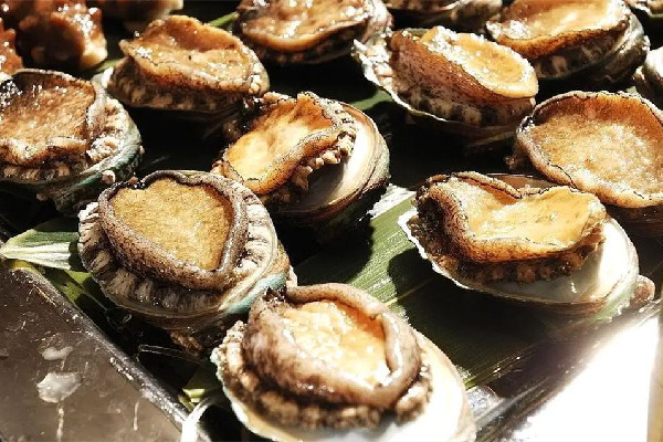 鮑魚(yú)怎么保存最新鮮 鮑魚(yú)放冰箱里保鮮可以放幾天 鮑魚(yú)怎么保存最新鮮 鮑魚(yú)放冰箱里保鮮可以放幾天