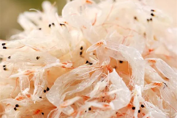 蝦皮多少錢一斤市場(chǎng)價(jià) 蝦皮買生的還是熟的