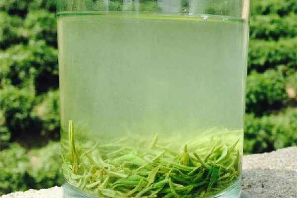 信陽(yáng)毛尖和都勻毛尖哪個(gè)好 信陽(yáng)毛尖屬于什么檔次