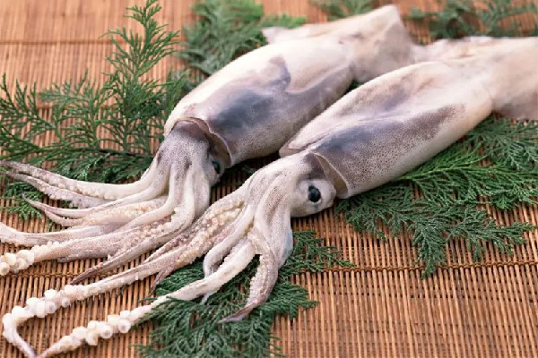 新鮮魷魚(yú)會(huì)泡藥水嗎 新鮮魷魚(yú)買回來(lái)要怎么清洗
