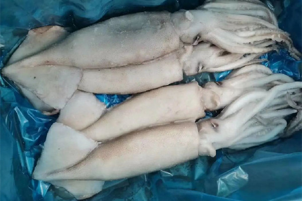 新鮮魷魚(yú)會(huì)泡藥水嗎 新鮮魷魚(yú)買回來(lái)要怎么清洗