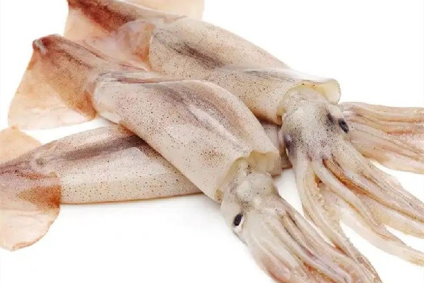 新鮮魷魚(yú)有堿味有害嗎 新鮮魷魚(yú)為什么有堿味