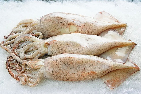 新鮮魷魚(yú)和泡發(fā)魷魚(yú)的區(qū)別 新鮮魷魚(yú)買(mǎi)大的好還是小的好