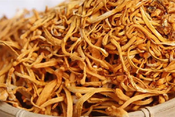 蟲(chóng)草花有白色的毛還能吃嗎 蟲(chóng)草花會(huì)變質(zhì)嗎