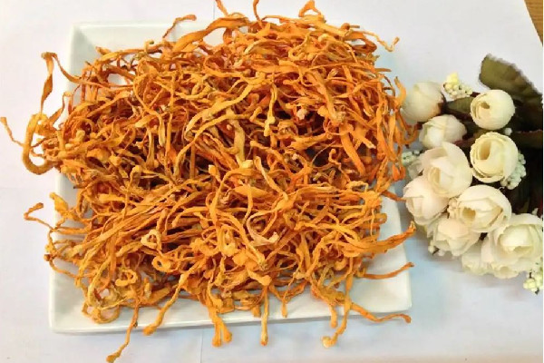 蟲(chóng)草花有白色的毛還能吃嗎 蟲(chóng)草花會(huì)變質(zhì)嗎