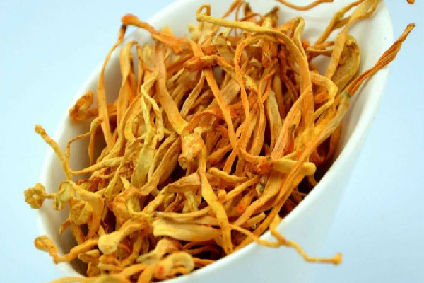 蟲(chóng)草花什么顏色才是真品 蟲(chóng)草花怎么選才是好的