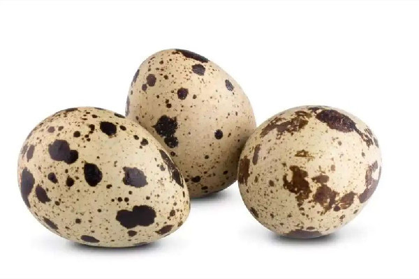 鵪鶉蛋吃了會不會發(fā)胖 鵪鶉和雞蛋哪個(gè)膽固醇高