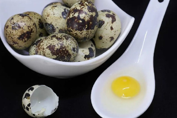 鵪鶉蛋吃了會不會發(fā)胖 鵪鶉和雞蛋哪個(gè)膽固醇高