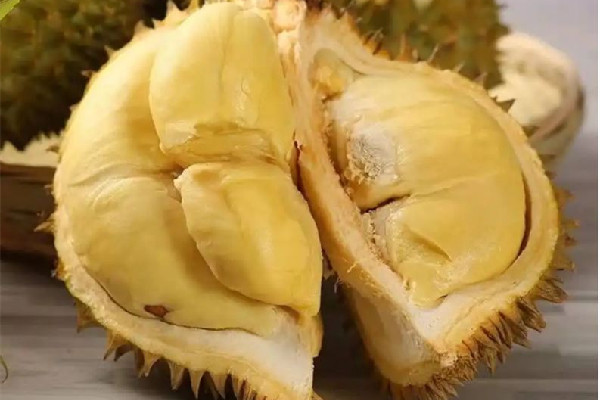 金枕榴蓮多少錢一斤 金枕榴蓮屬于什么等級 金枕榴蓮多少錢一斤 金枕榴蓮屬于什么等級