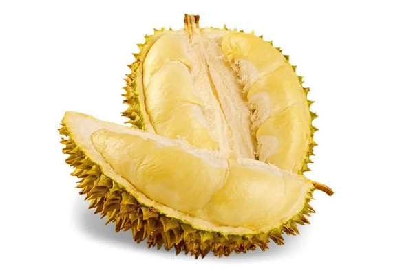 金枕榴蓮多少錢一斤 金枕榴蓮屬于什么等級 金枕榴蓮多少錢一斤 金枕榴蓮屬于什么等級