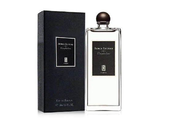 蘆丹氏孤兒怨是孤女嗎 蘆丹氏孤兒怨怎么鑒別 蘆丹氏孤兒怨是孤女嗎 蘆丹氏孤兒怨怎么鑒別