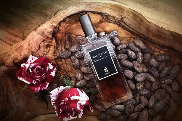 蘆丹氏孤兒怨是孤女嗎 蘆丹氏孤兒怨怎么鑒別 蘆丹氏孤兒怨是孤女嗎 蘆丹氏孤兒怨怎么鑒別