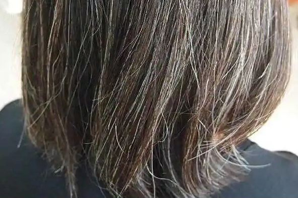 白頭發(fā)吃中藥能調理好嗎 白頭發(fā)多久能變黑