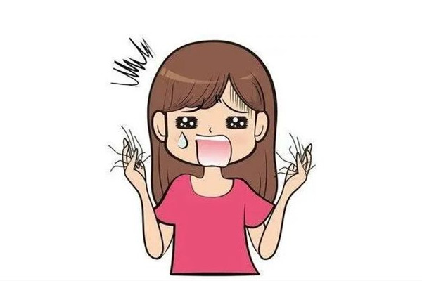 掉發(fā)可以用中藥調(diào)理嗎 掉發(fā)喝中藥要多久見(jiàn)效