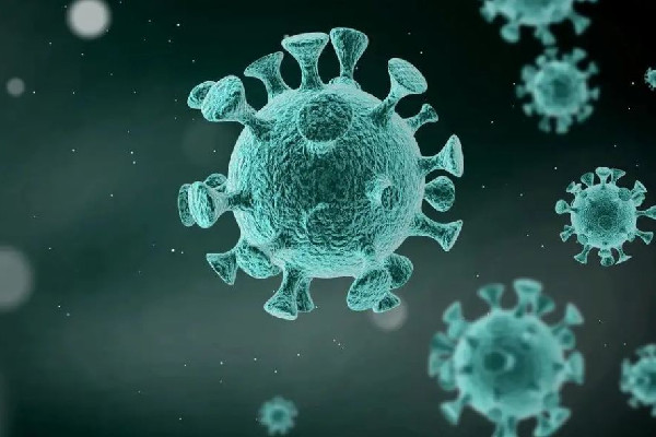 專家:國產(chǎn)新冠口服藥或再降價 新冠口服藥可以代替疫苗嗎