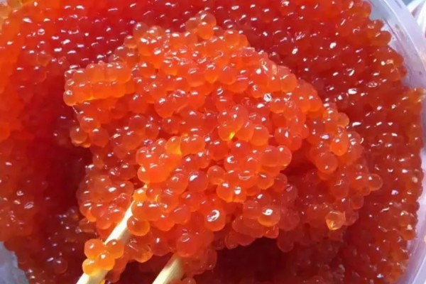 魚籽是高蛋白還是高脂肪 魚籽屬于動物內臟嗎