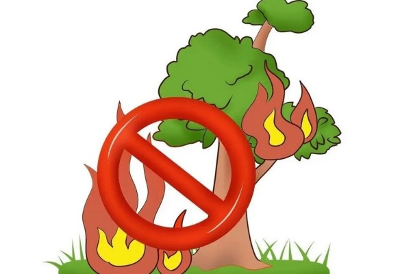 河南安陽廠房火災(zāi)已致36死2失聯(lián) 火災(zāi)有幾個等級 河南安陽廠房火災(zāi)已致36死2失聯(lián) 火災(zāi)有幾個等級