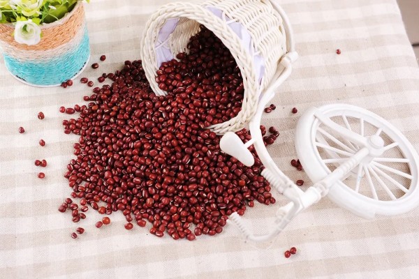 紅豆怎么保存不生蟲(chóng) 紅豆放了三年還能吃嗎 紅豆怎么保存不生蟲(chóng) 紅豆放了三年還能吃嗎