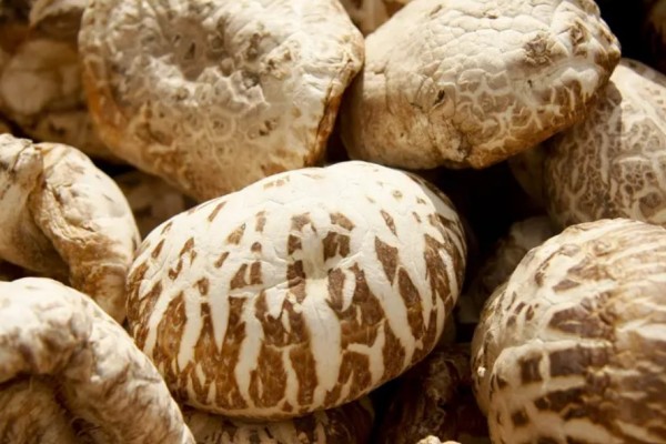 花菇會(huì)過期嗎 花菇過期了還能不能吃