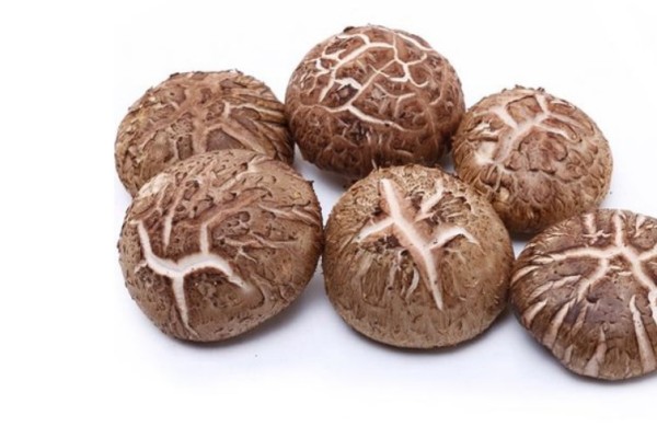 花菇產(chǎn)地哪里最好 花菇買(mǎi)干的好還是新鮮的好