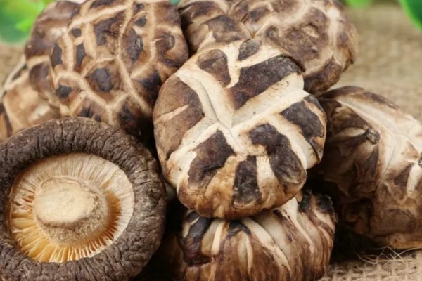 花菇會(huì)過期嗎 花菇過期了還能不能吃