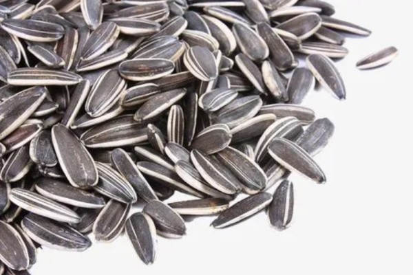 葵瓜子會(huì)致癌是真的嗎 葵瓜子對人體有害嗎
