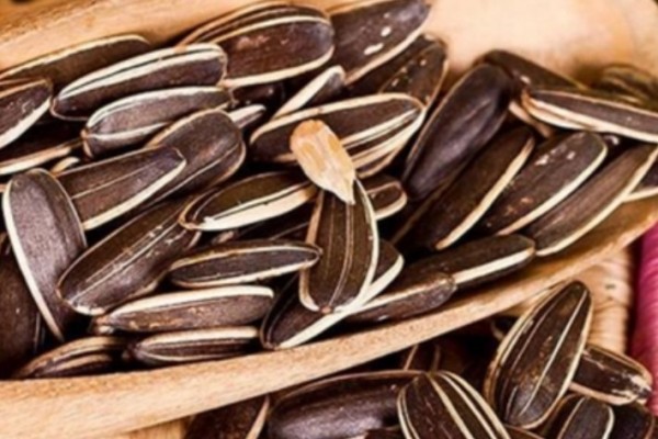 葵瓜子怎么煮才好吃 葵瓜子生吃的好還是熟吃好 葵瓜子怎么煮才好吃 葵瓜子生吃的好還是熟吃好