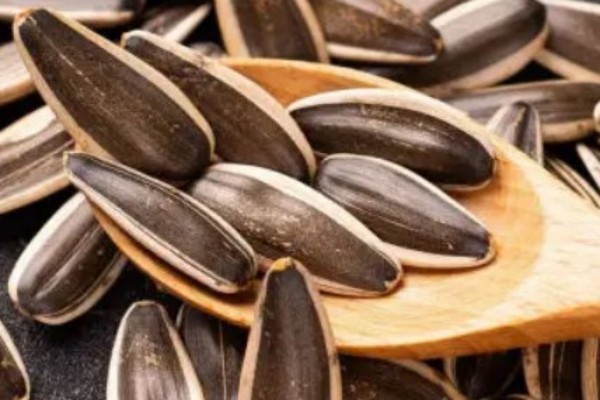 葵瓜子會(huì)致癌是真的嗎 葵瓜子對人體有害嗎