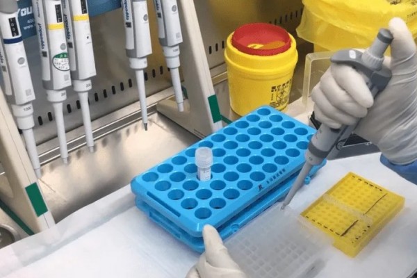 媒體:核酸亂象不止疫情永無(wú)寧日 核酸檢測(cè)上的棉簽有什么成分 媒體:核酸亂象不止疫情永無(wú)寧日 核酸檢測(cè)上的棉簽有什么成分