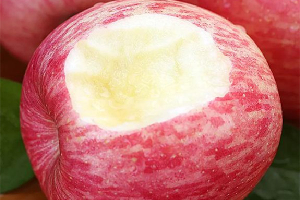 紅富士蘋(píng)果吃起來(lái)怎么樣 紅富士蘋(píng)果有什么營(yíng)養(yǎng)價(jià)值