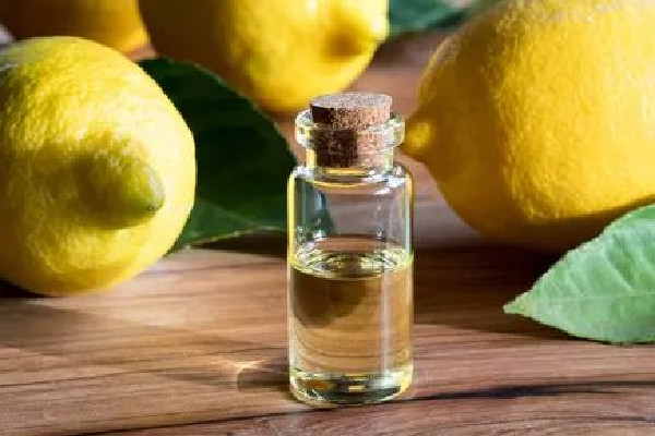 檸檬精油可以和什么精油一起用 檸檬精油涂臉為什么會(huì)刺痛 檸檬精油可以和什么精油一起用 檸檬精油涂臉為什么會(huì)刺痛