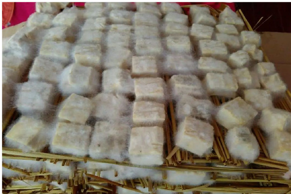 霉豆腐有黑斑能不能吃 霉豆腐有黑斑是什么原因 霉豆腐有黑斑能不能吃 霉豆腐有黑斑是什么原因