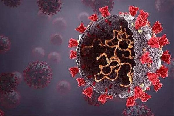 專家稱重復感染死亡風險翻倍 新冠重復感染的幾率高嗎