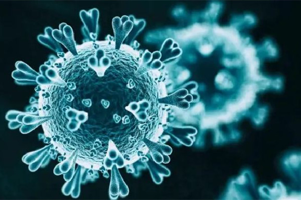 專家稱重復感染死亡風險翻倍 新冠重復感染的幾率高嗎